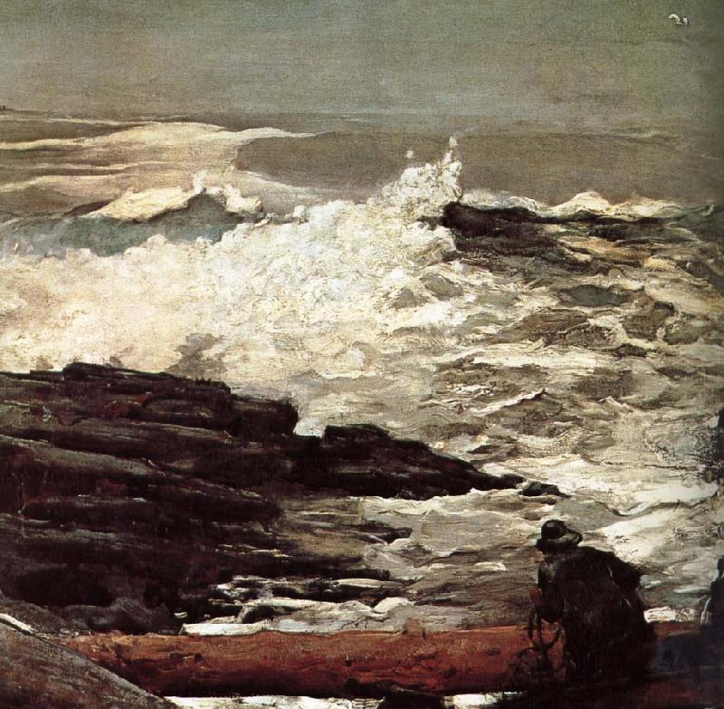 Winslow Homer Driftwood oil painting image